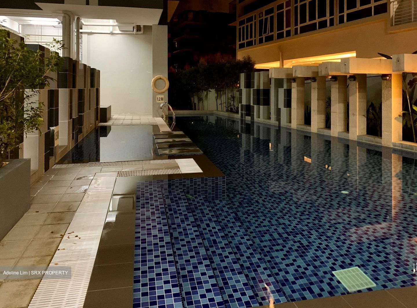 Palm Galleria (D15), Apartment #618290381